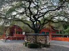 富士山本宮浅間大社の建物その他