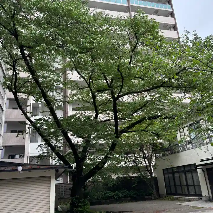 御津八幡宮(大阪府)