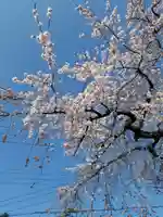 日蓮宗 総本山 塔頭 定林坊(じょうりんぼう)(山梨県)