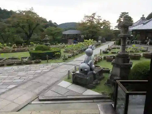 三室戸寺の庭園