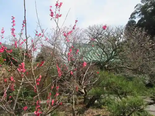 光則寺の庭園