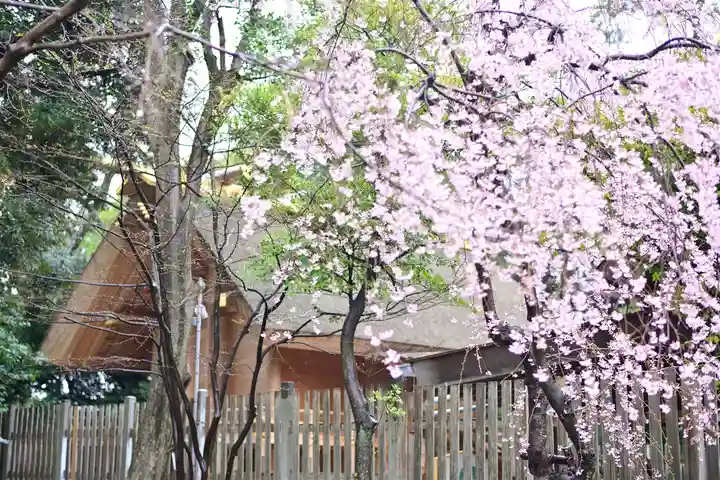 伊勢山皇大神宮の自然