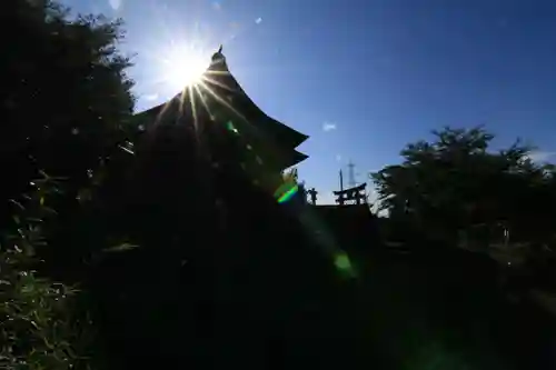 大山祇神社の景色