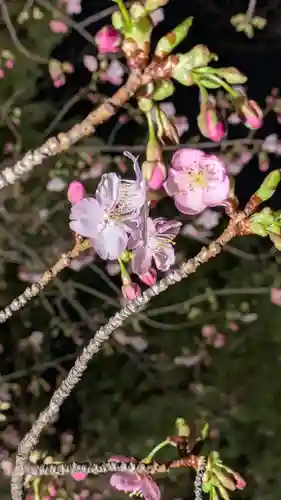 東寺（教王護国寺）(京都府)