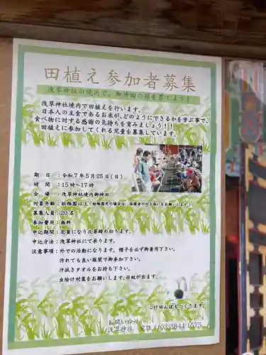 浅草神社の体験その他