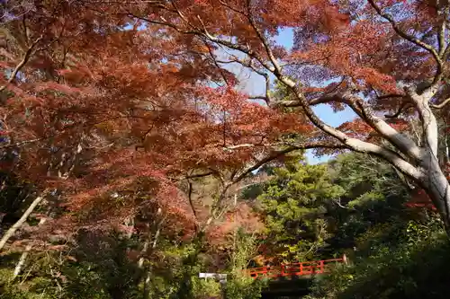 根来寺(和歌山県)