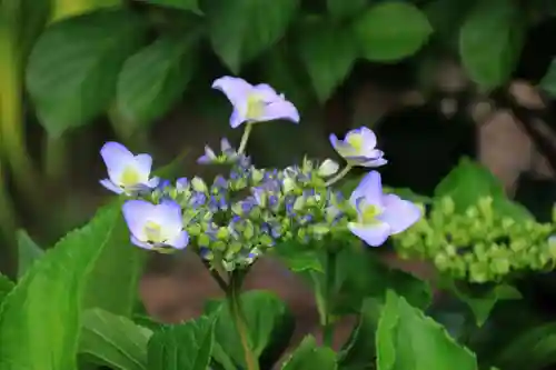 御嶽山神社の自然