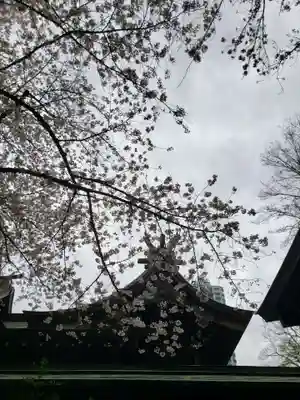 熊野神社(東京都)