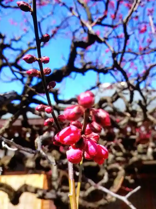 鳳林寺(東京都)