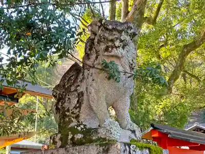 松尾大社の狛犬