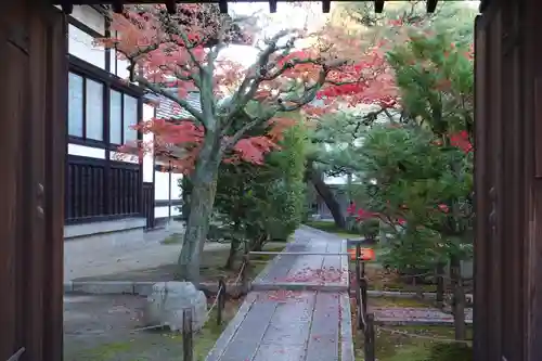 退耕庵(京都府)