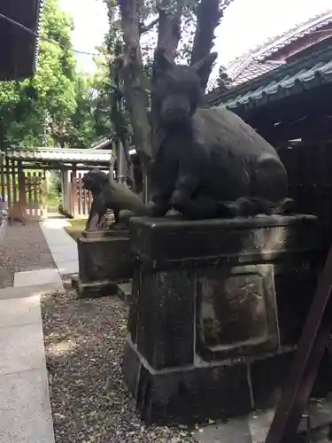 牛嶋神社の狛犬