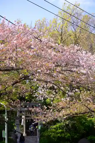 多摩川浅間神社の自然