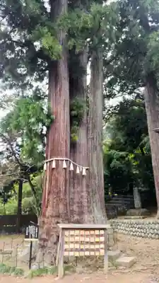 日枝神社(静岡県)