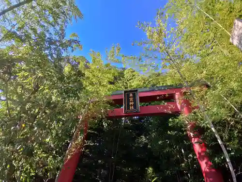 來宮神社(静岡県)