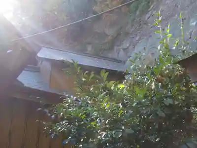 新羽杉山神社の本殿・本堂