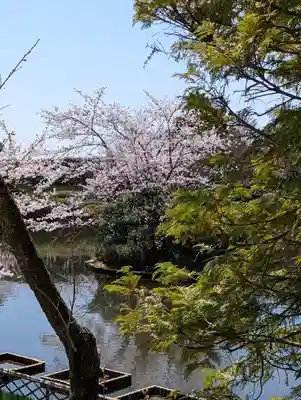 龍安寺(京都府)