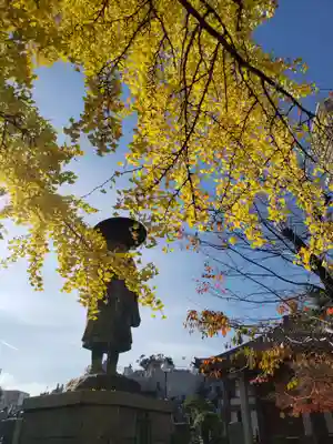 善福寺(東京都)