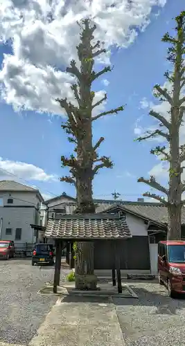 光蓮寺の手水舎