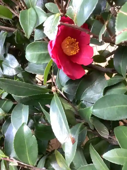尾張猿田彦神社(愛知県)