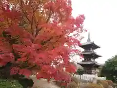 徳正寺の建物その他