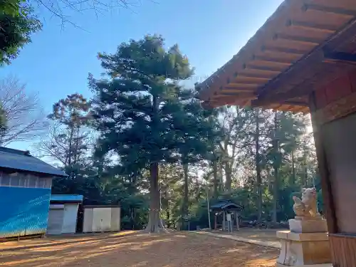 吉田杉山神社のその他建物