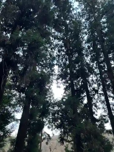 大宮温泉神社の自然