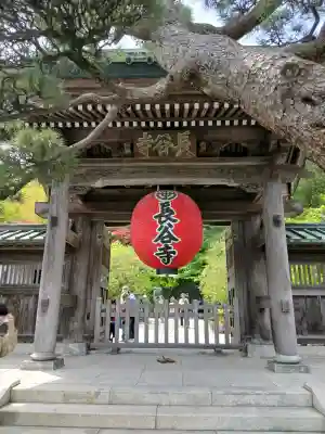 長谷寺の{uncategorized: "未分類", other: "その他", undefined: "問題あり", building: "その他建物", grave: "お墓", sacred_gate: "鳥居", guardian: "狛犬", statue: "像", buddha: "仏像", history: "歴史", nature: "自然", garden: "庭園", animal: "動物", pagoda: "塔", temizu: "手水舎", mountain_gate: "山門・神門", sanctuary: "本殿・本堂", subordinate: "末社・摂社", art: "芸術", scenery: "景色", jizo: "地蔵", ema: "絵馬", goshuin: "御朱印", omikuji: "おみくじ", items: "授与品その他", amulet: "お守り", goshuincho: "御朱印帳", eats: "食事", festival: "お祭り", votive_dance: "神楽", shichigosan: "七五三参", wedding: "結婚式", experience: "体験その他", initially: "初詣", around: "周辺", anti_infection: "感染症対策"}
