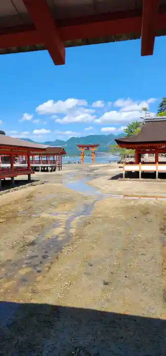 厳島神社の{uncategorized: "未分類", other: "その他", undefined: "問題あり", building: "その他建物", grave: "お墓", sacred_gate: "鳥居", guardian: "狛犬", statue: "像", buddha: "仏像", history: "歴史", nature: "自然", garden: "庭園", animal: "動物", pagoda: "塔", temizu: "手水舎", mountain_gate: "山門・神門", sanctuary: "本殿・本堂", subordinate: "末社・摂社", art: "芸術", scenery: "景色", jizo: "地蔵", ema: "絵馬", goshuin: "御朱印", omikuji: "おみくじ", items: "授与品その他", amulet: "お守り", goshuincho: "御朱印帳", eats: "食事", festival: "お祭り", votive_dance: "神楽", shichigosan: "七五三参", wedding: "結婚式", experience: "体験その他", initially: "初詣", around: "周辺", anti_infection: "感染症対策"}