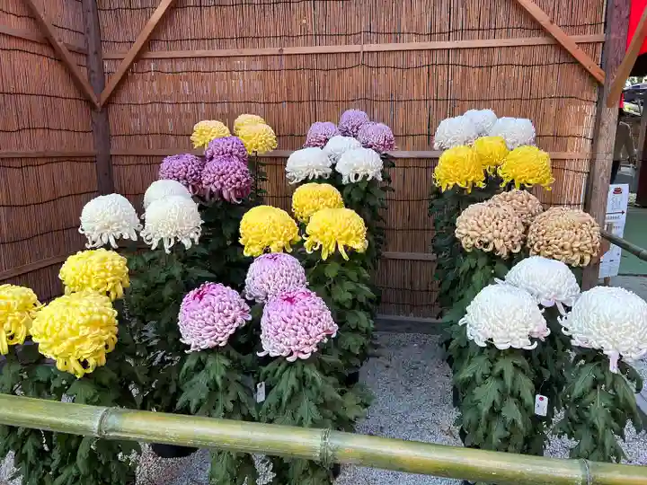 笠間稲荷神社(茨城県)