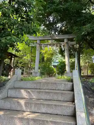 八雲氷川神社の鳥居