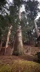 氷室神社(奈良県)