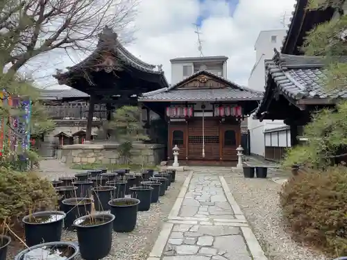 行願寺（革堂）(京都府)
