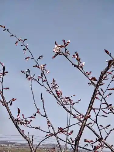 茂岩神社の自然