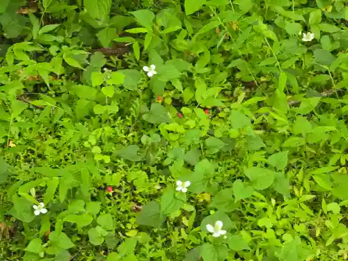 百済寺(滋賀県)