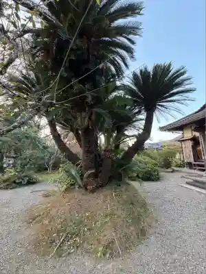 王楽寺(宮崎県)