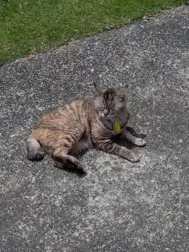 海善寺(静岡県)