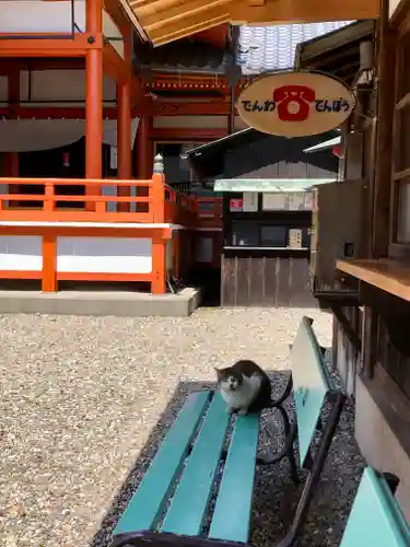 龍泉寺(愛知県)