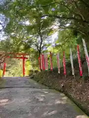 天開稲荷社の鳥居