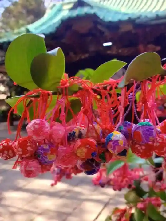 赤坂氷川神社(東京都)