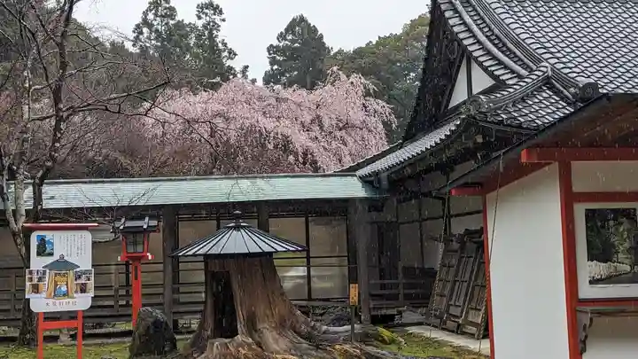 大原野神社(京都府)