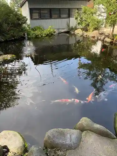 熊野神社(山形県)