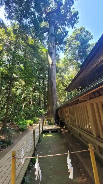鹿島神宮の{uncategorized: "未分類", other: "その他", undefined: "問題あり", building: "その他建物", grave: "お墓", sacred_gate: "鳥居", guardian: "狛犬", statue: "像", buddha: "仏像", history: "歴史", nature: "自然", garden: "庭園", animal: "動物", pagoda: "塔", temizu: "手水舎", mountain_gate: "山門・神門", sanctuary: "本殿・本堂", subordinate: "末社・摂社", art: "芸術", scenery: "景色", jizo: "地蔵", ema: "絵馬", goshuin: "御朱印", omikuji: "おみくじ", items: "授与品その他", amulet: "お守り", goshuincho: "御朱印帳", eats: "食事", festival: "お祭り", votive_dance: "神楽", shichigosan: "七五三参", wedding: "結婚式", experience: "体験その他", initially: "初詣", around: "周辺", anti_infection: "感染症対策"}