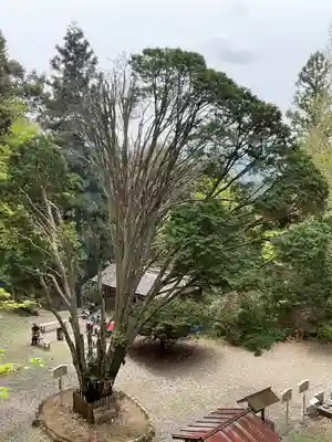 日龍峯寺(高澤観音)(美濃清水)(岐阜県)