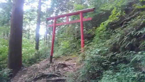 小丸山稲荷神社の鳥居