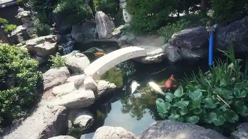 尾張猿田彦神社の庭園