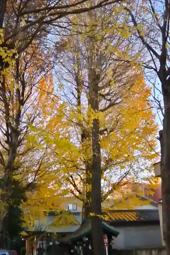 穏田神社(東京都)