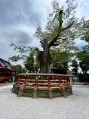 上野総社神社(群馬県)