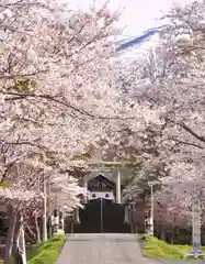 岩内神社の自然