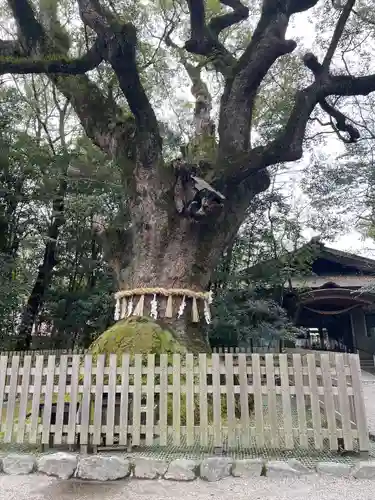 熱田神宮(愛知県)